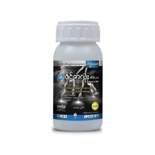 ဇိုင်ကလုံး